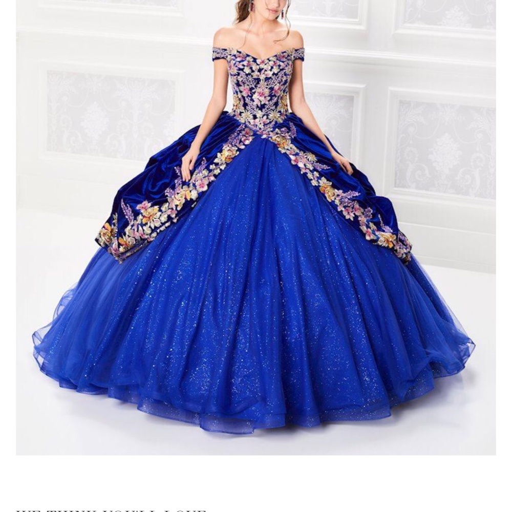 Ariana Vara Sweet 15 & 16 Quinceanera Dress Gown